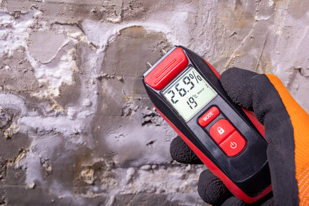 Best Local Mold Removal Service  in Anahola, HI